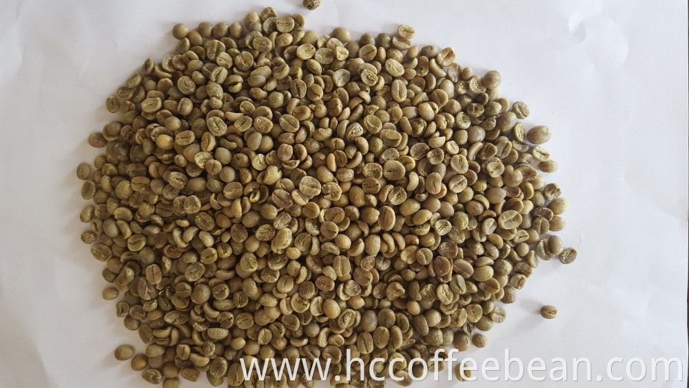 green coffee beans,vietnam origin,aqabica type,new crop
